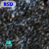BSDL 2940