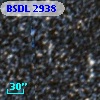 BSDL 2938