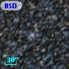 BSDL 2950
