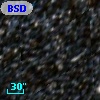 BSDL 3010
