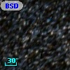 BSDL 3021
