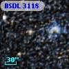 BSDL 3118