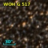 WOH G 517