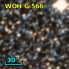 WOH G 566