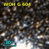 2MASS J05515524-7104431