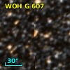 WOH G 607