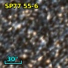 SP77  55-6