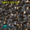 SP77  55-19