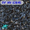 SV* HV 12645