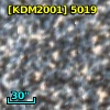 [KDM2001]  5019