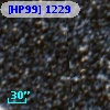 [HP99]  1229