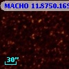 MACHO  11.8750.1694