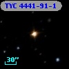 TYC 4441-91-1