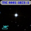 TYC 4441-1023-1