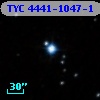 TYC 4441-1047-1