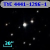 TYC 4441-1286-1