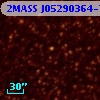 2MASS J05290364-7018178