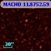 MACHO  11.8752.59