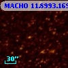 MACHO  11.8993.169