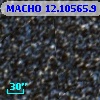 MACHO  12.10565.9