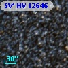 SV* HV 12646