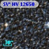 SV* HV 12650