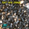 SV* HV  2844