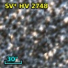 OGLE LMC-SC17 207446