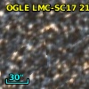OGLE LMC-SC17 214860