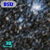 BSDL 2942