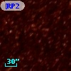 [RP2006]  668