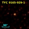 TYC 9165-929-1