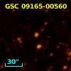 GSC 09165-00560