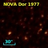 NOVA Dor 1977