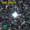 HD  36621