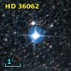 HD  36062