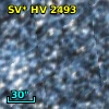 SV* HV  2493