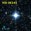 HD  36145