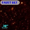 FAUST  667