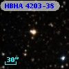 HBHA 4203-38