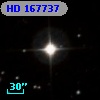 HD 167737