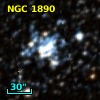 NGC  1890