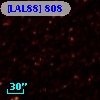 [LAL88] 808