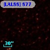 [LAL88] 877
