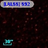 [LAL88] 892
