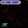 LI-LMC 1007