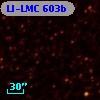 LI-LMC  603b