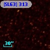 [SL63] 313