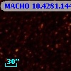 MACHO  10.4281.1446