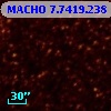MACHO   7.7419.238